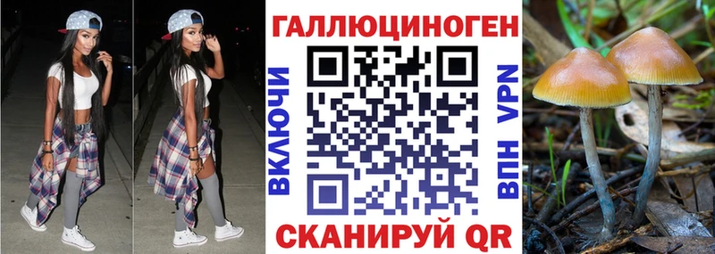 Галлюциногенные грибы Magic Shrooms  Николаевск 
